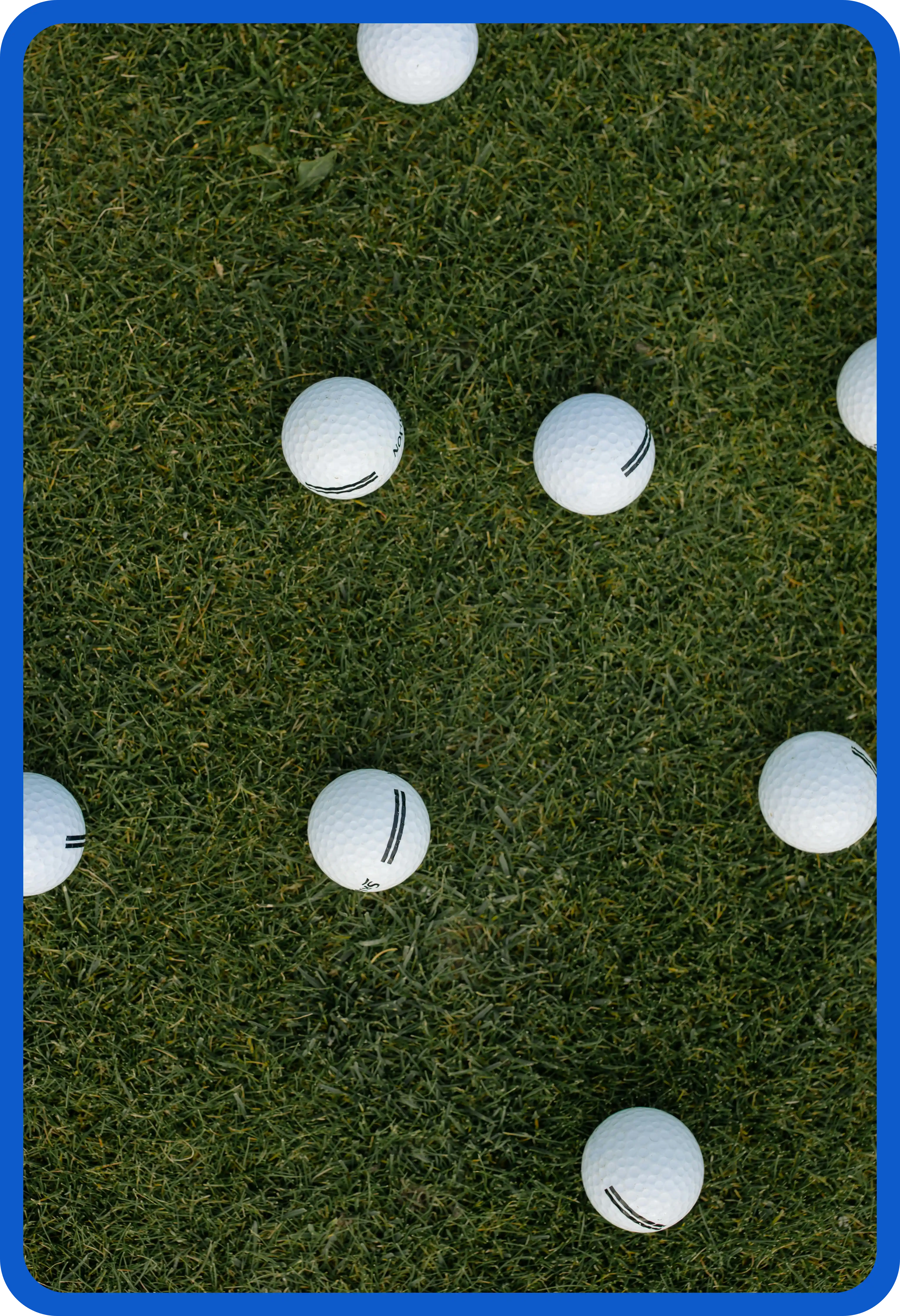 2024년 파크골프 규정 개정