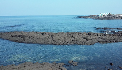 제주도 렌트카, 돌하루팡 렌트카 가격, 쿠폰