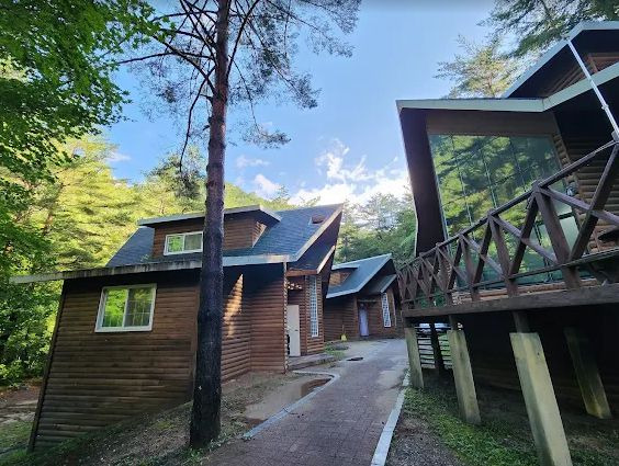 태백고원자연휴양림