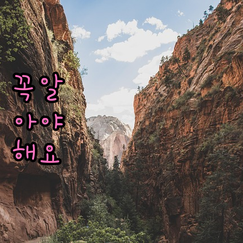 상생페이백 지금은 못 받아요? 종료된..