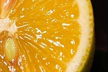 물 대신 넣어 마시면