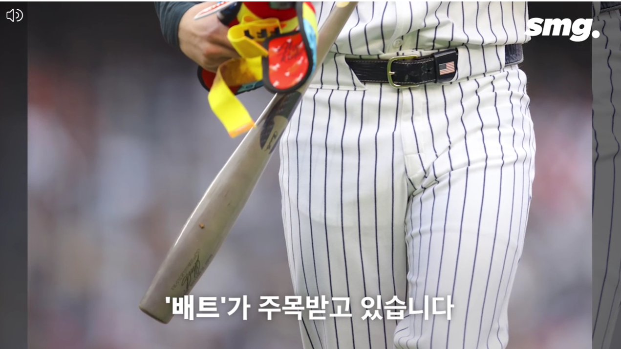 어뢰배트란? 새로운 기술의 등장