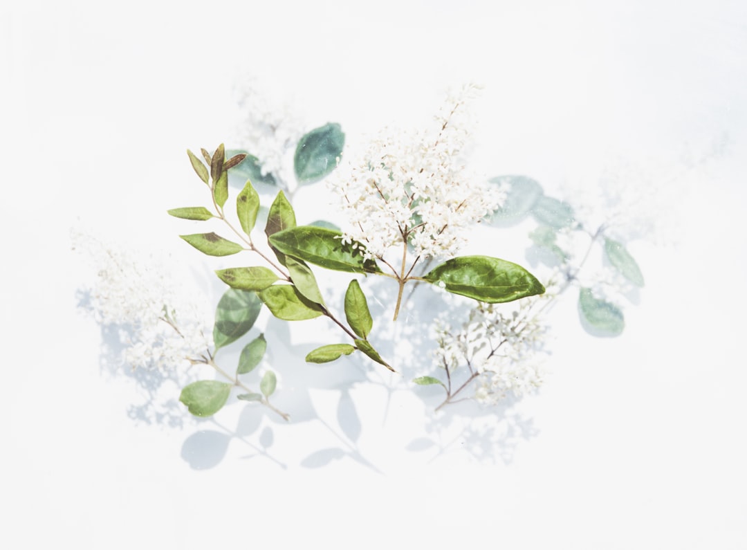 Herbal