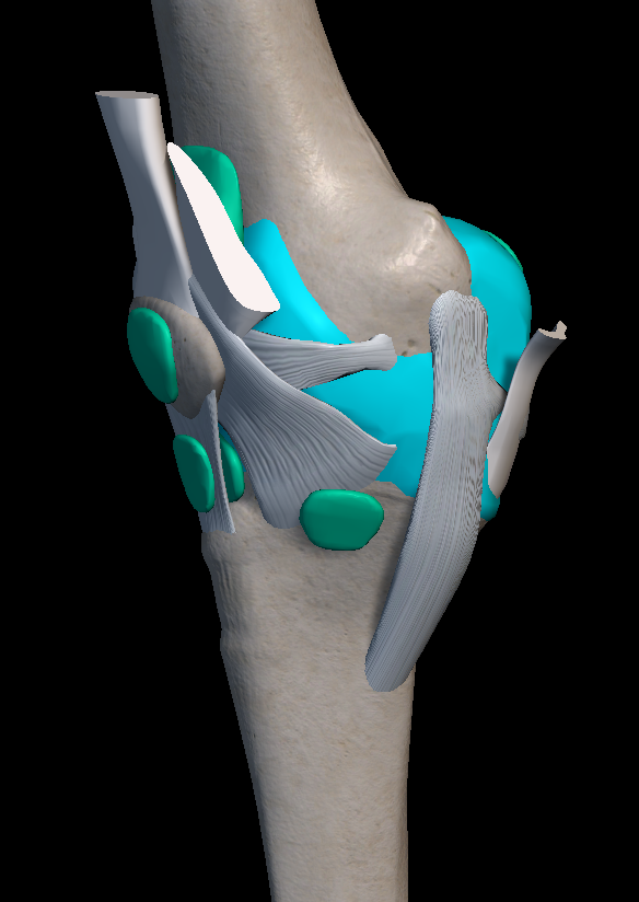 무릎 인대 파열 증상 치료법 총정리