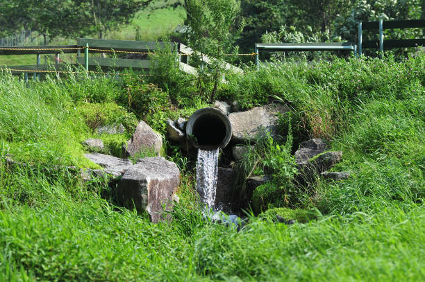 냄새가 심한 주방 하수구, 배수구 실링&middot;필터 설치법