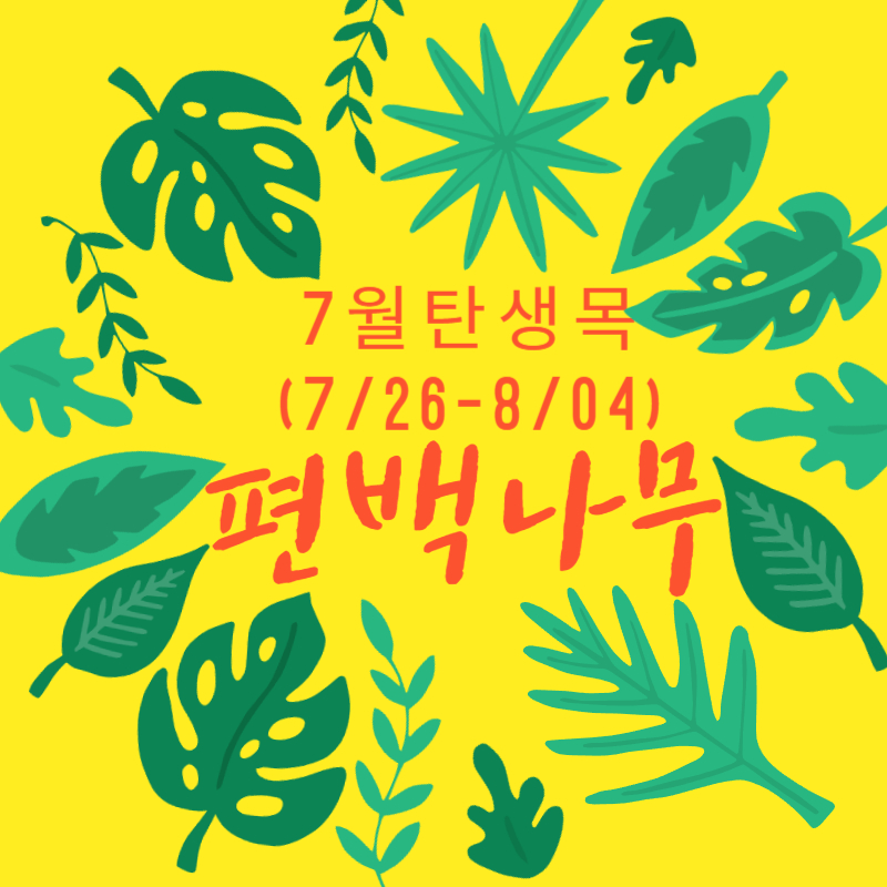 7월 탄생목 편백나무