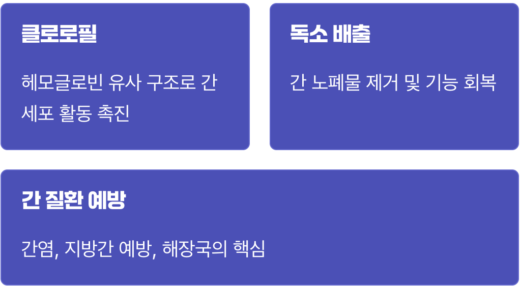1. 지친 간을 깨우는 '파란 피'의 비밀