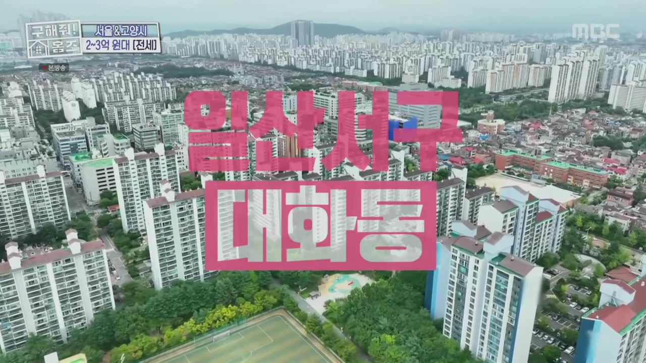 구해줘홈즈 고양시 일산서구 대화동 사랑의 대화 하우스 매물 가격 및 구조 인테리어 리모델링 최종선택 소개
