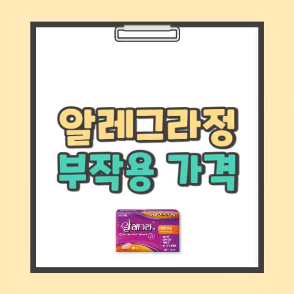 알레그라정 120mg 180mg 효능 부작용 가격