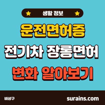 운전면허증 전기차 장롱면허증 변화 알아보기