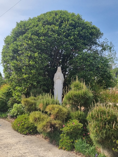 익산 마동성당 성모상