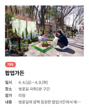 여의도 벚꽃 축제