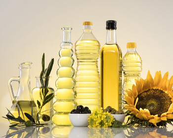 태백 해바라기 축제_17