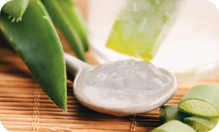 알로에-효능