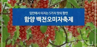 문경 오미자축제 2025 다섯 가지 맛으로 만나는 가을 정리_19