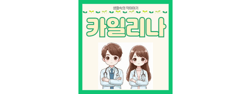 카일리나 썸네일