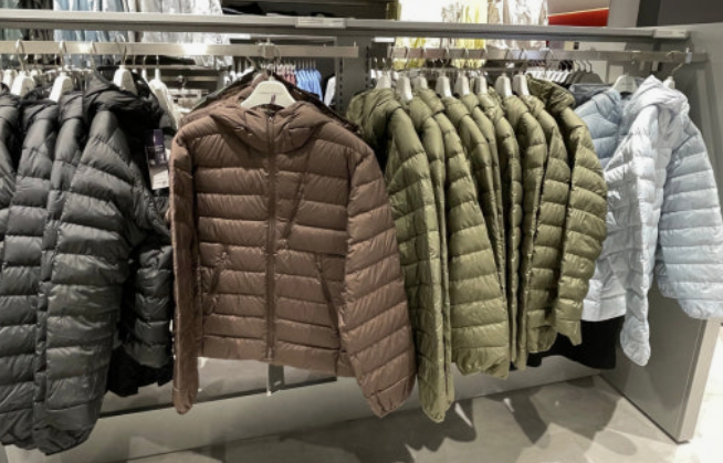 패딩 종류 관련