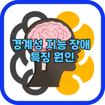경계성 지능 장애 특징 원인