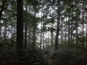 제주 렌트카 비교사이트 돌하루팡