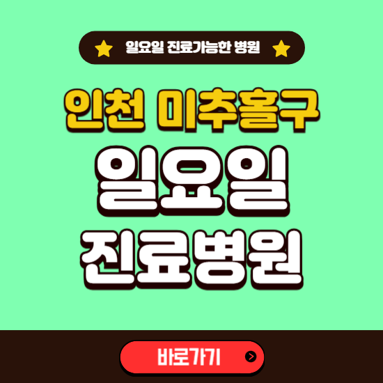 인천 미추홀구 일요일 진료 가능한 병원 ❘ 주말 문여는 곳 총정리 (소아과, 내과, 안과, 치과, 피부과, 정형외과, 산부인과)