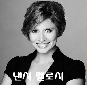 낸시 펠로시 리즈