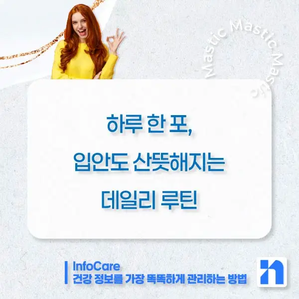 매스틱 매스틱검 효능 효과