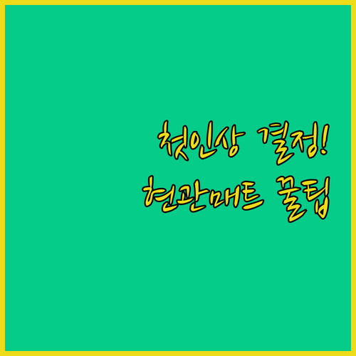 집 첫인상 결정 현관 매트 5종 비교..