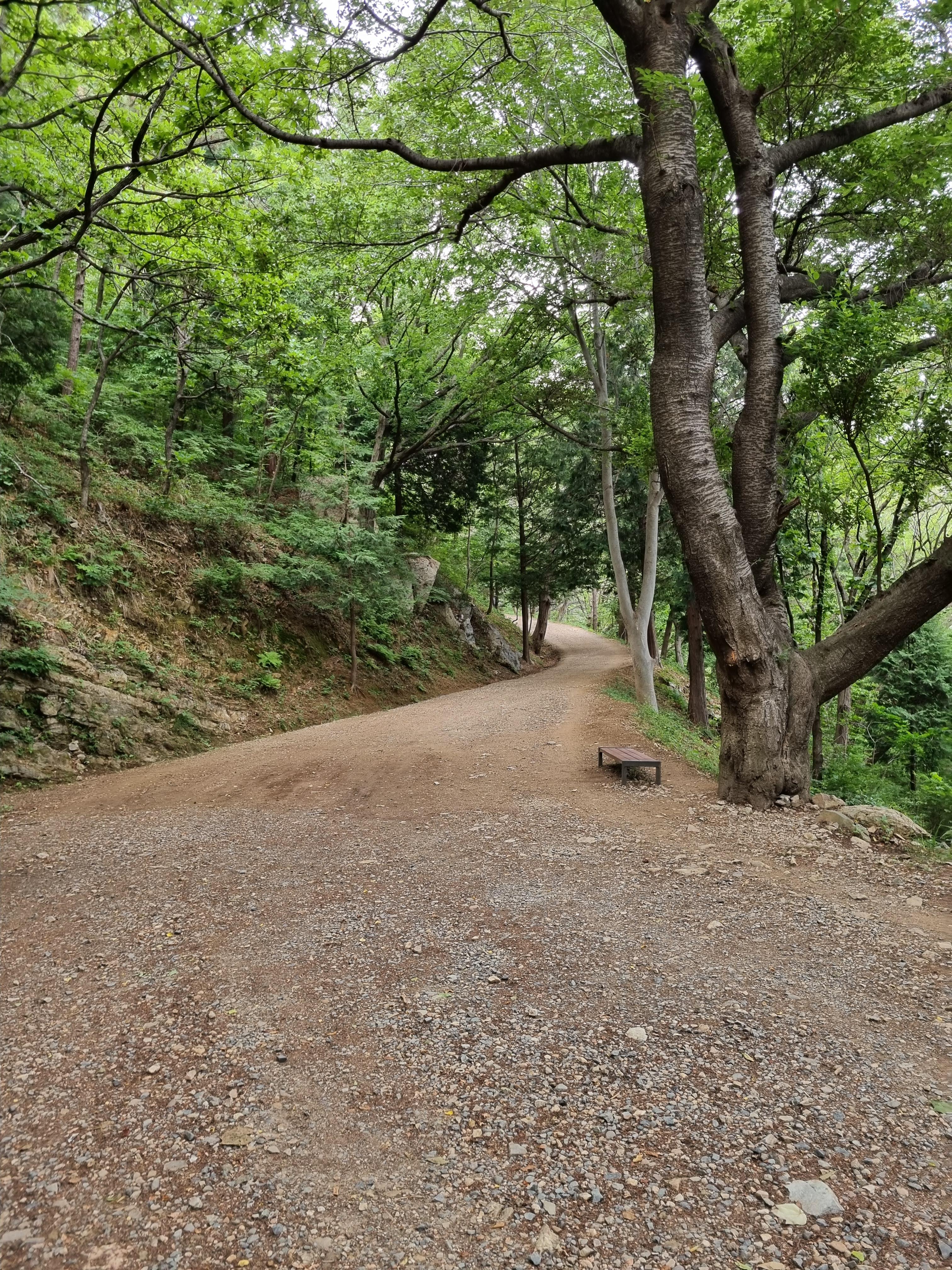 라이트비x 임도 테스트