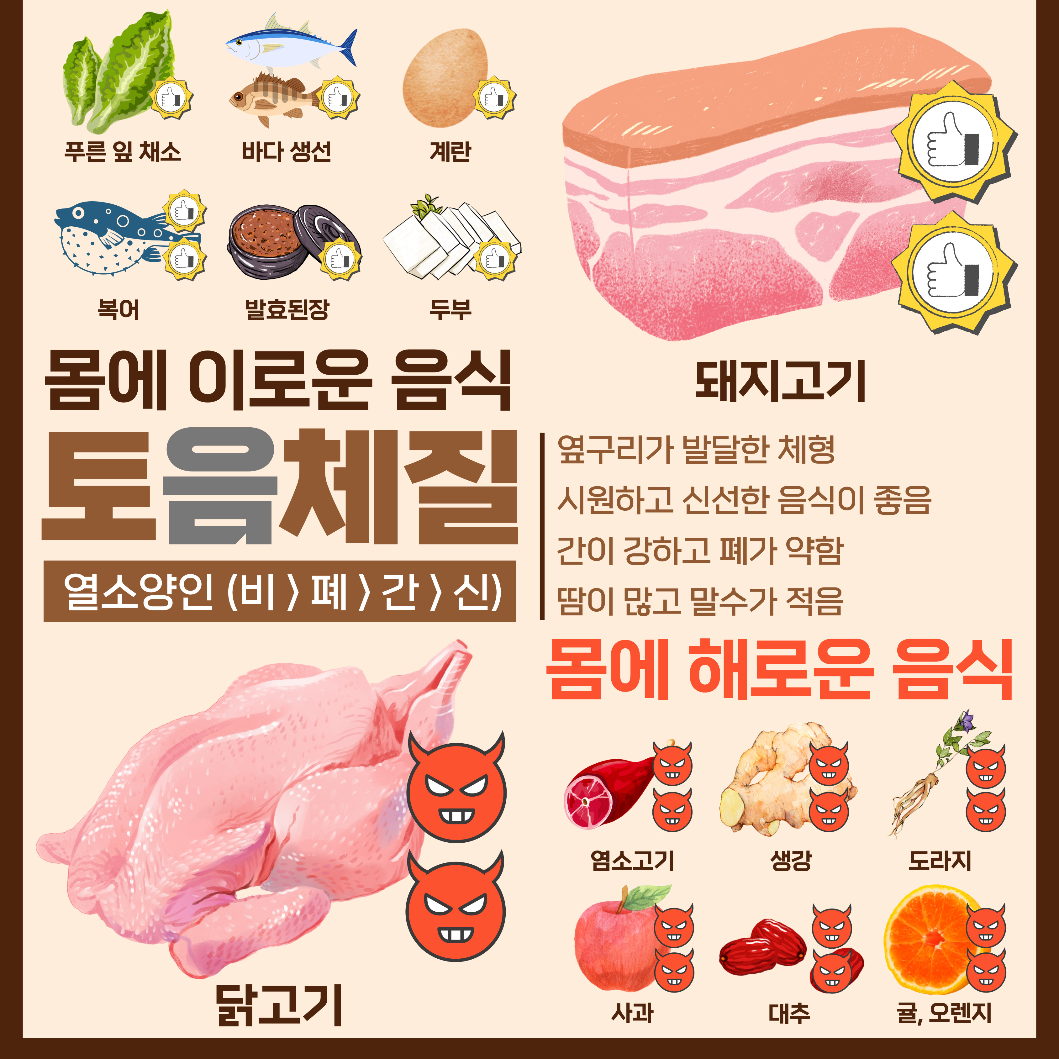 토음 체질