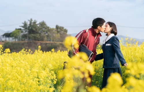 제주의 사계절