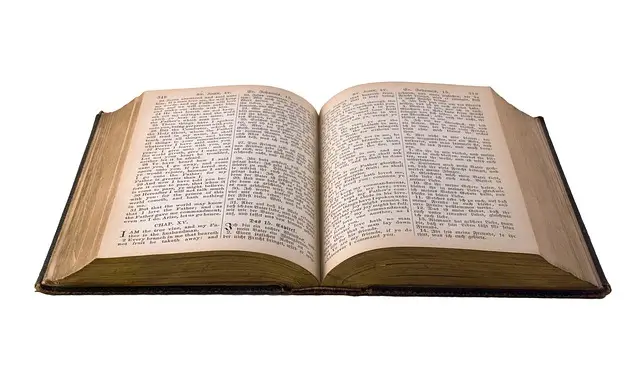 조약의 체결과 절차, 효력발생