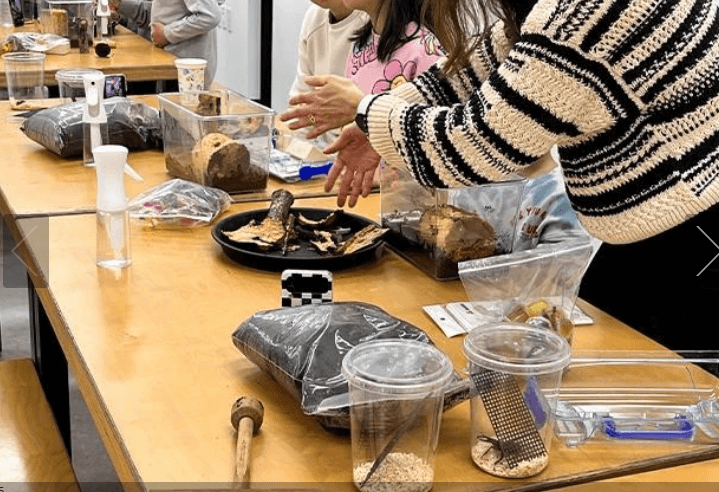 화담숲 주말 예약 성공 노하우