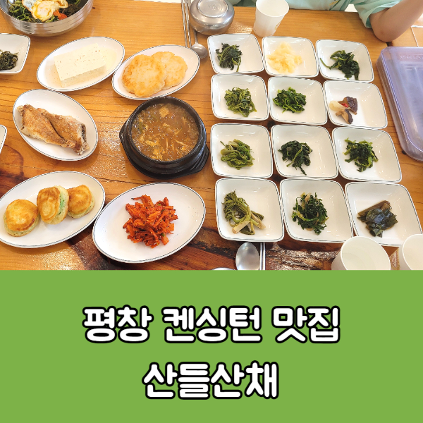 평창 켄싱턴 맛집 산들산채