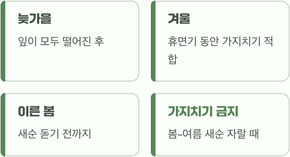 가지치기는 신중하게