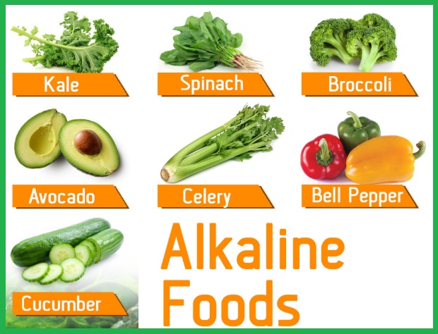 알칼리 식품
