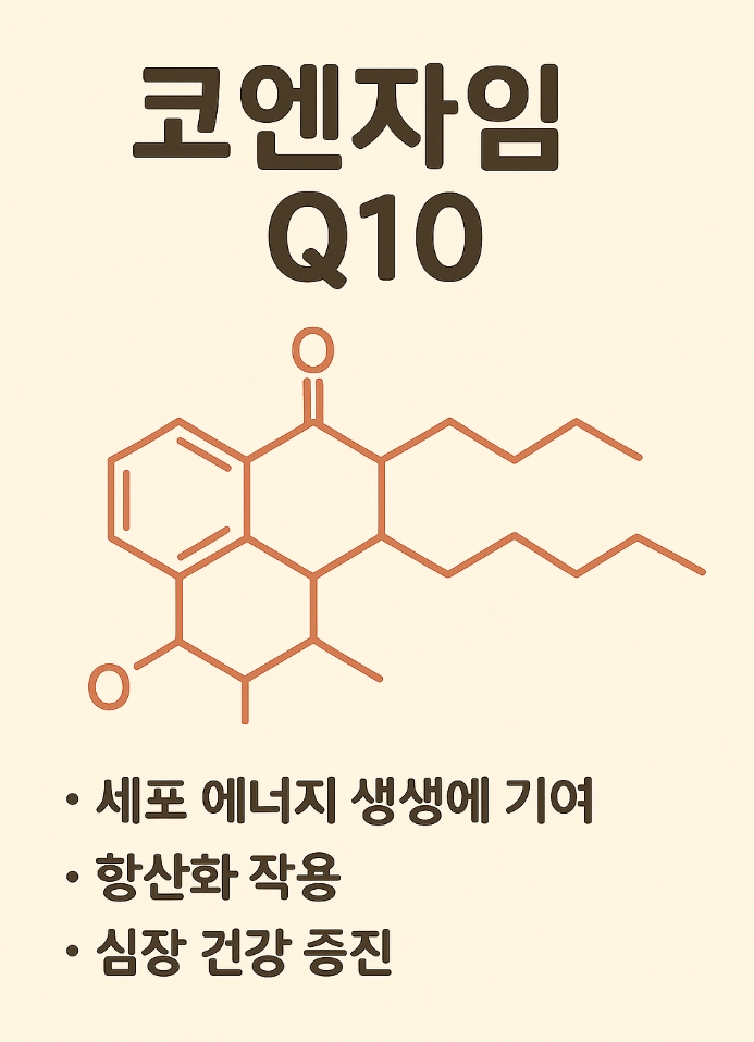 코엔자임 Q10