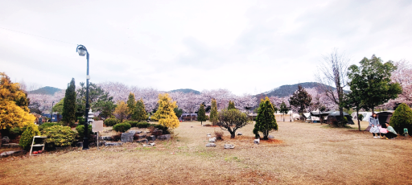 경호강 그린캠프 운동장