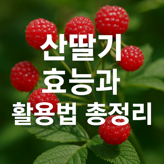 산딸기 효능과 활용법 총정리