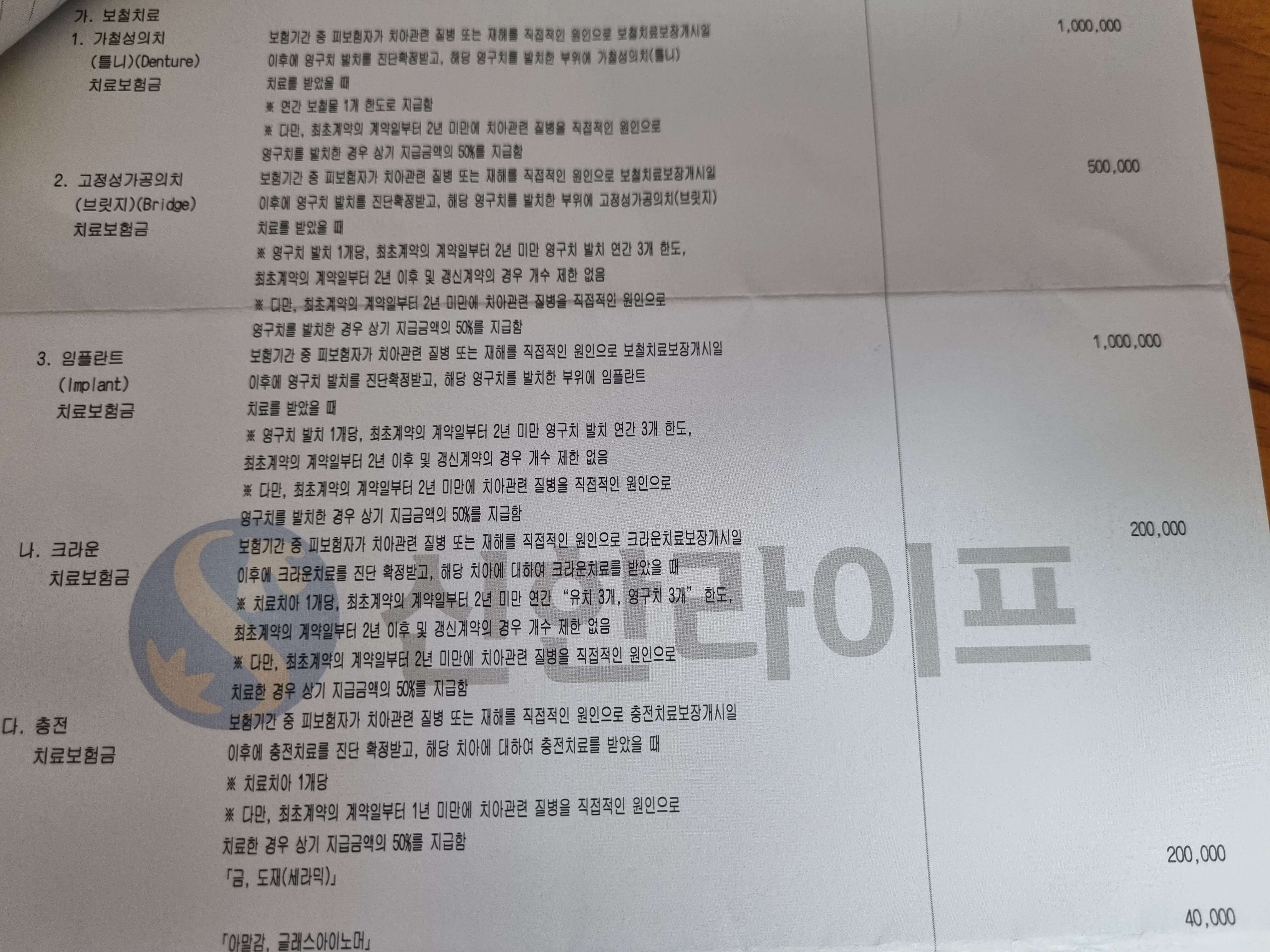 치과보험