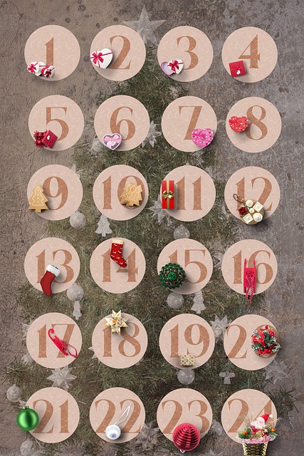 음력양력변환기 12