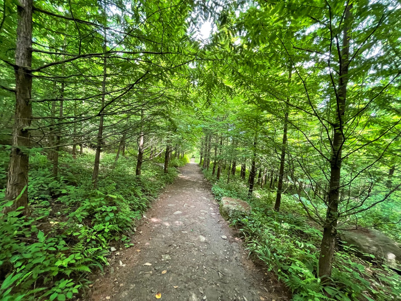 양평설매재 자연휴양림