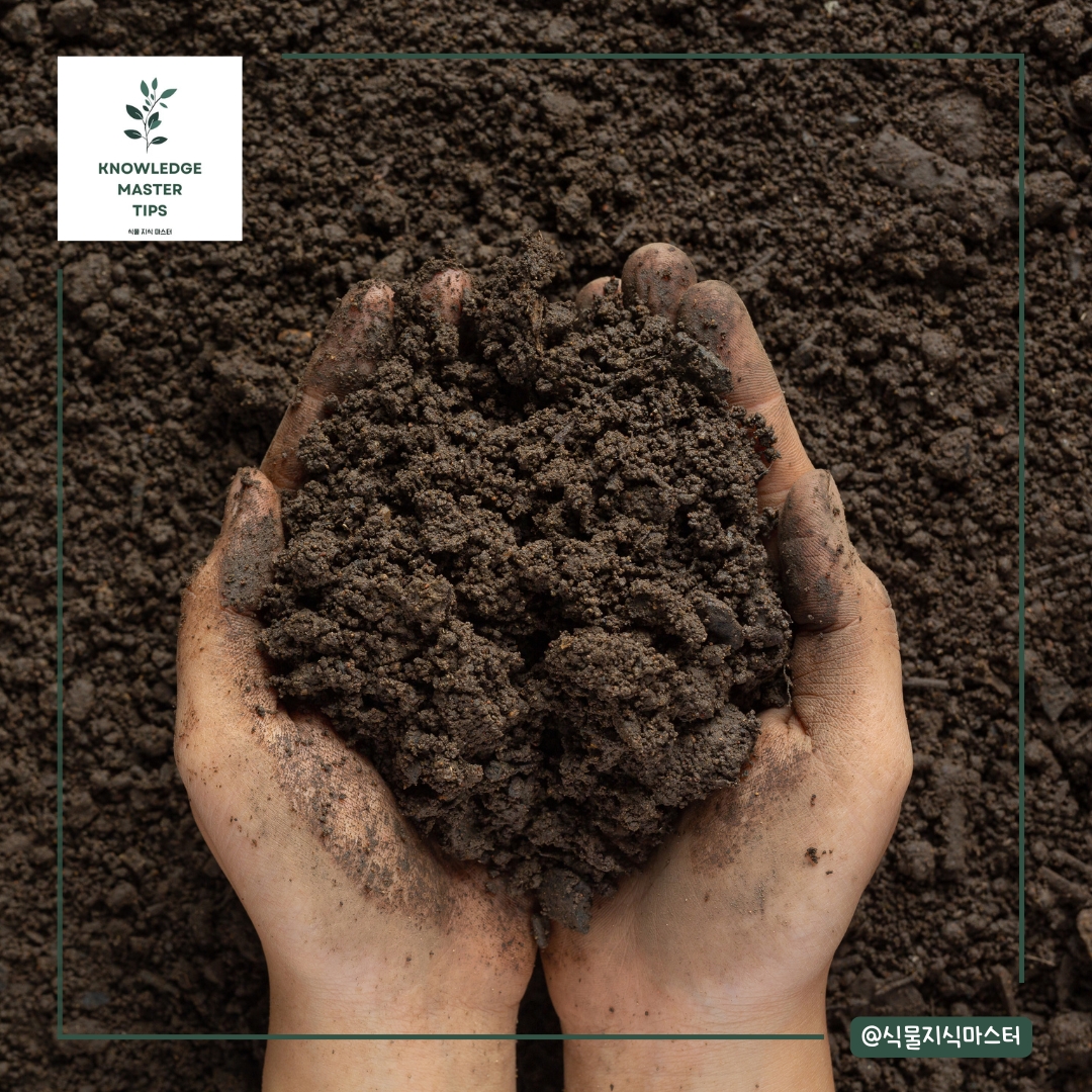 집에서 흙 배합하기