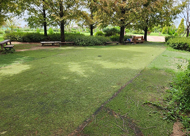 전라북도 완주 생강골파크골프장 소개