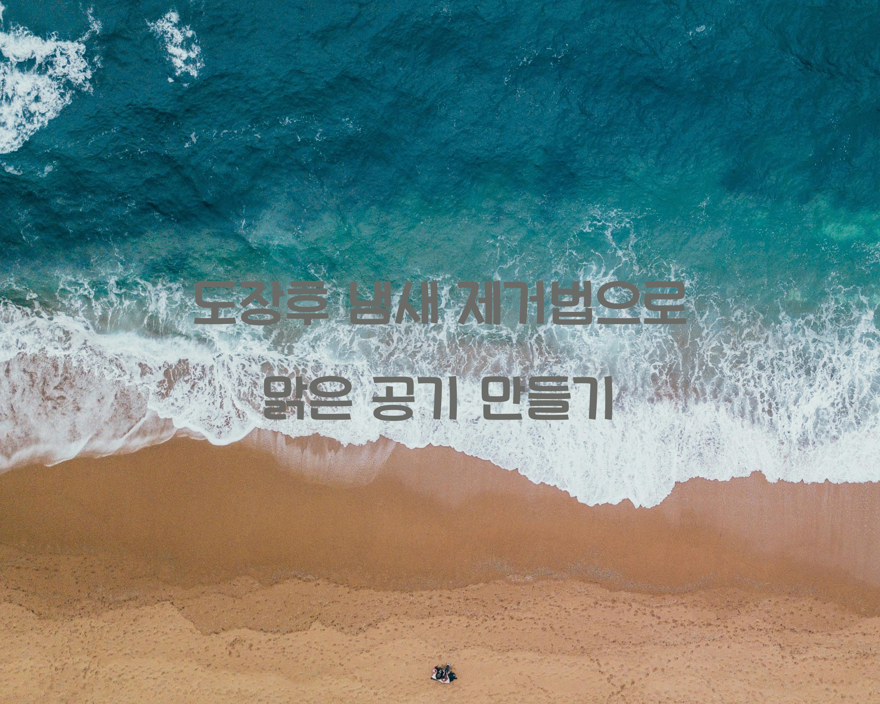 도장후 냄새 제거법