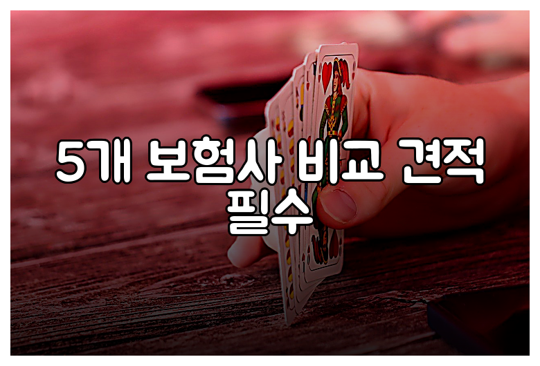 5개 보험사 비교 견적 필수