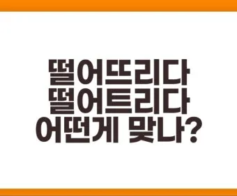 떨어뜨리다 떨어트리다 맞춤법 혼동 끝 예문으로 완벽 이해하기_24