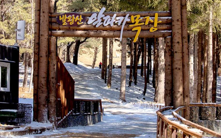 평창 애니포레