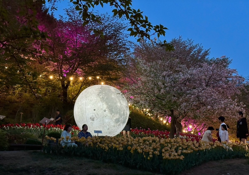 연희숲속쉼터 벚꽃1