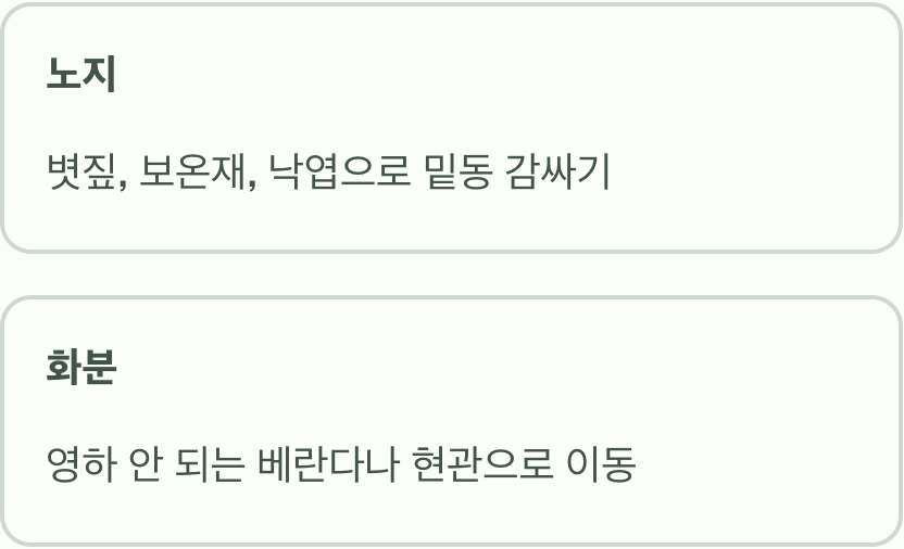 추운 겨울, 어떻게 보내야 할까?