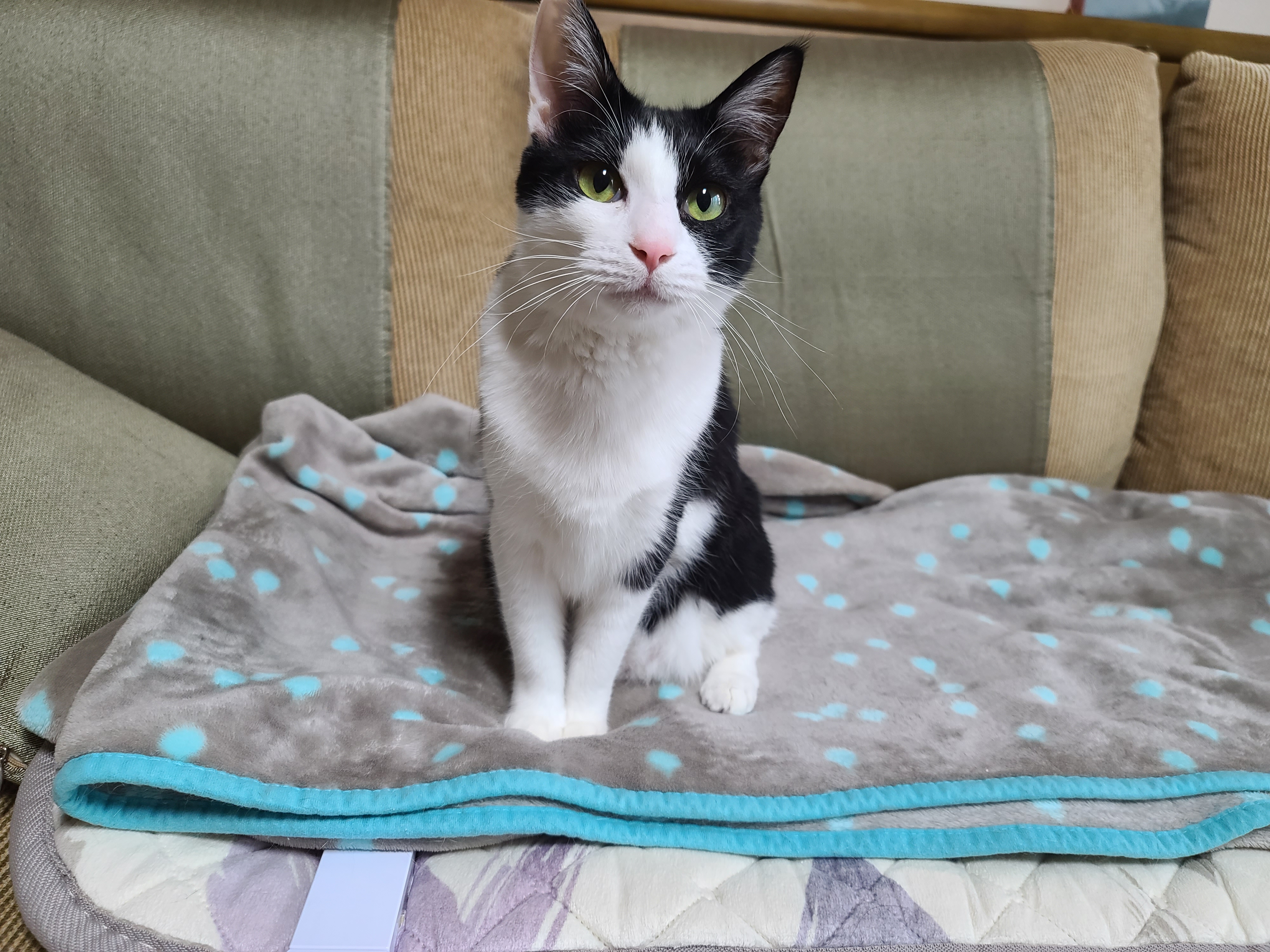 엄마랑 둘이 있어 기분이 좋은 두리